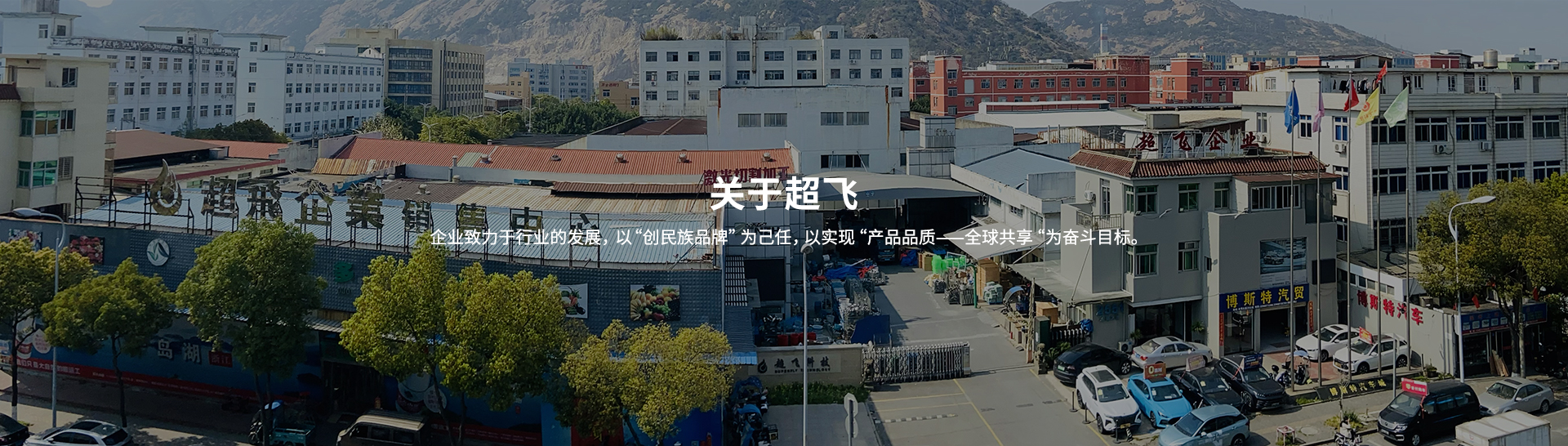 公司簡(jiǎn)介